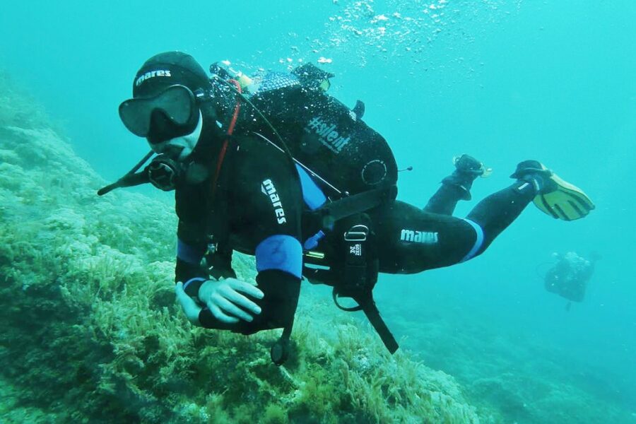 diving in the azores